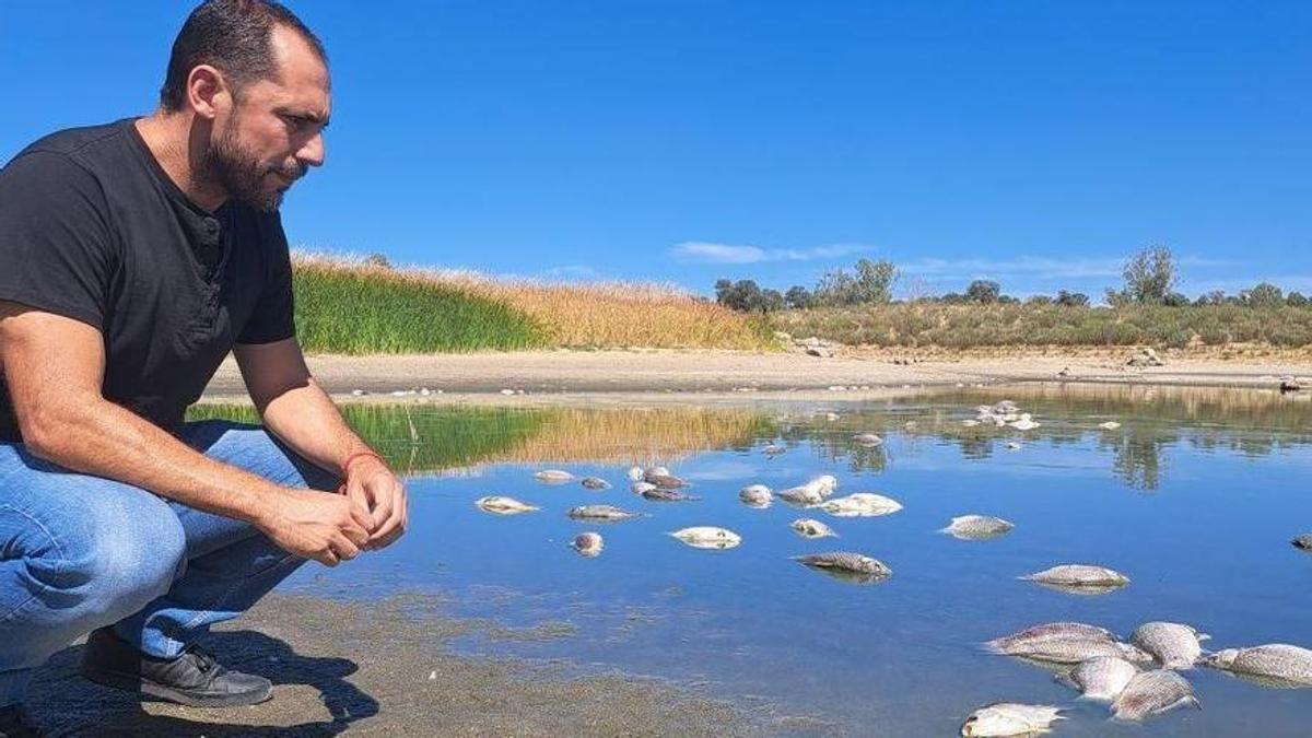 Sebastián Pérez observa los peces muertos en el embalse de La Colada este verano.