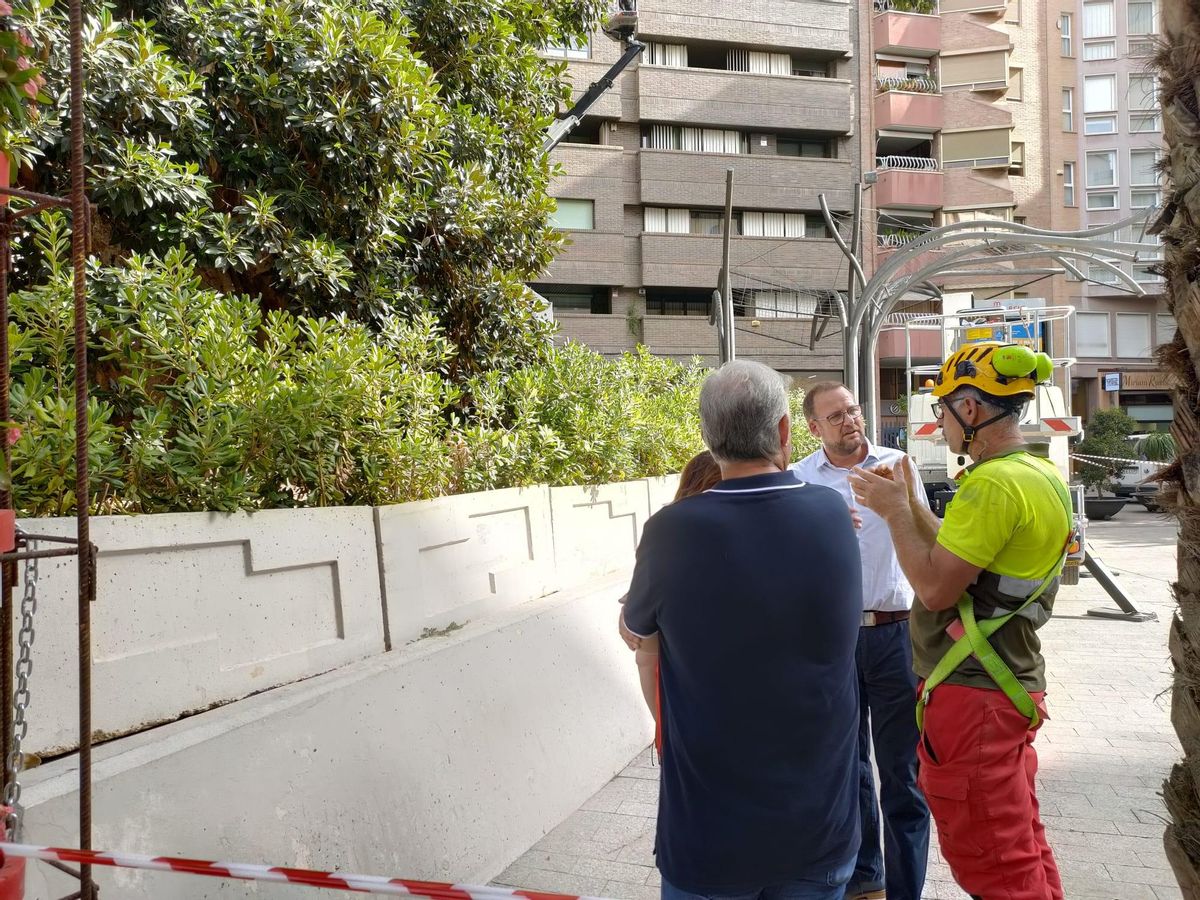 El concejal Guillén escucha a los técnicos junto al árbol.