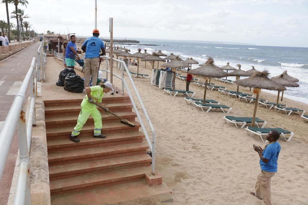 Recogidas 13 toneladas de basura en las playas de Palma la Nit de Sant Joan