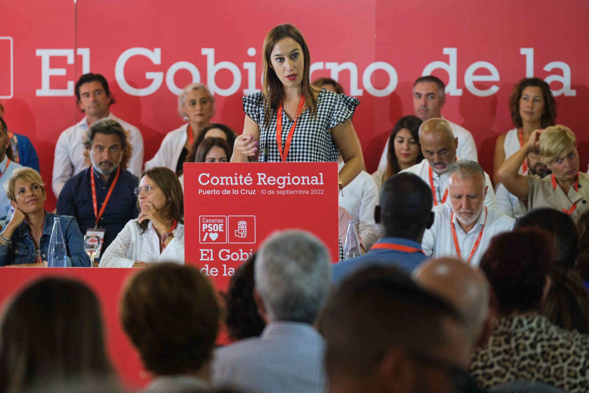 Comité Regional del PSOE celebrado en Puerto de la Cruz (Tenerife)