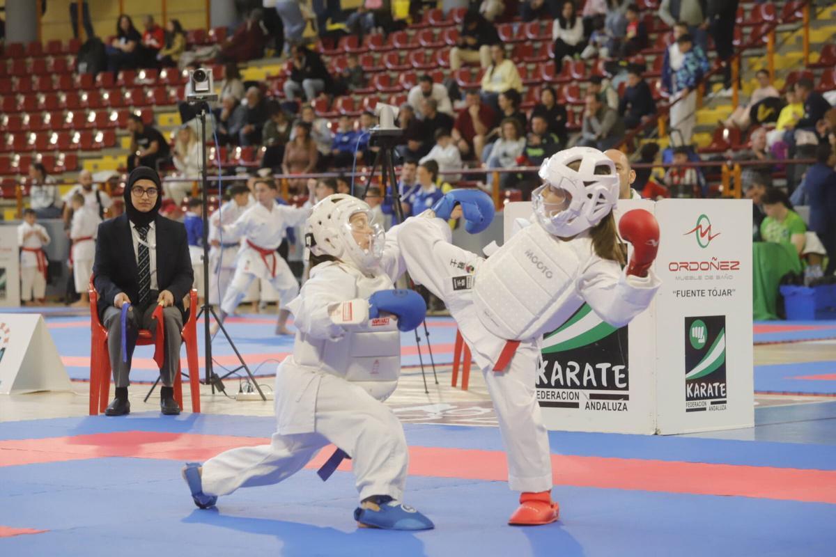 El Campeonato de Andalucía infantil de karate, en imágenes