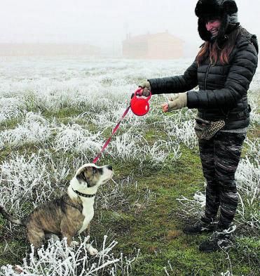 Uno de los animales, con su paseadora. | M. H. 