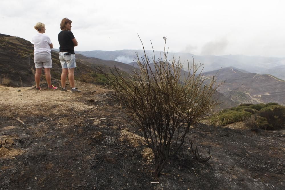 Incendio en los montes de León