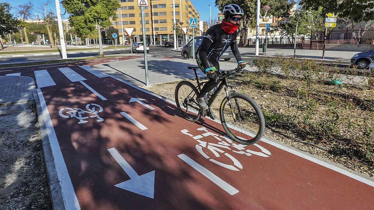 Yesterday, a cyclist passed through the new section of the Elche bike path that was inaugurated on Ramón Pastor avenue. | ANTONIO AMORÓS Yesterday, a cyclist passed through the new section of the Elche bike path that was inaugurated on Ramón Pastor avenue. | ANTONIO AMORÓS