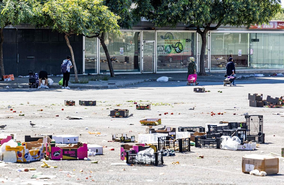 _MGL6903.jpg _MGL6903.jpg