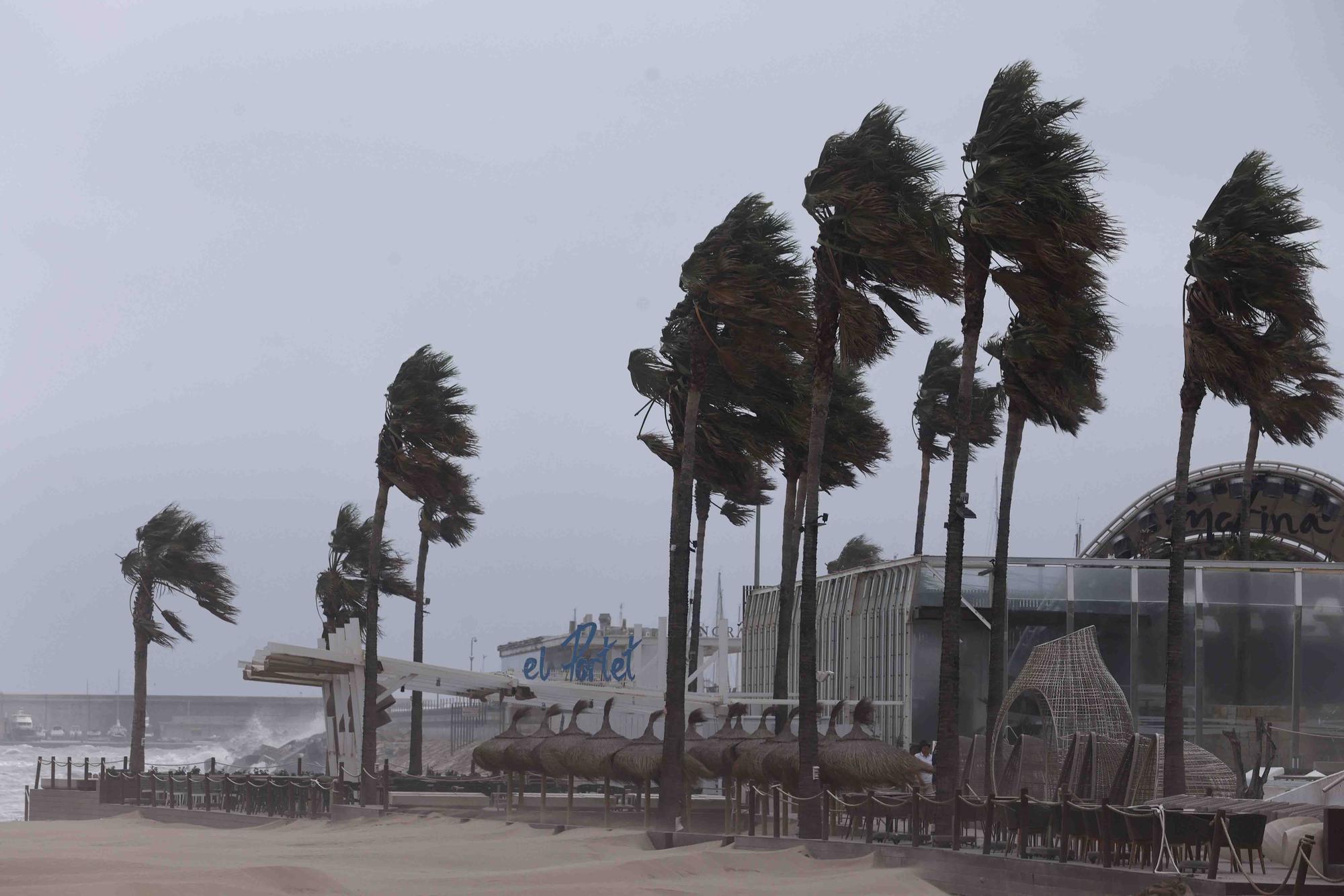 La playa de la Malvarrosa despues del temporal