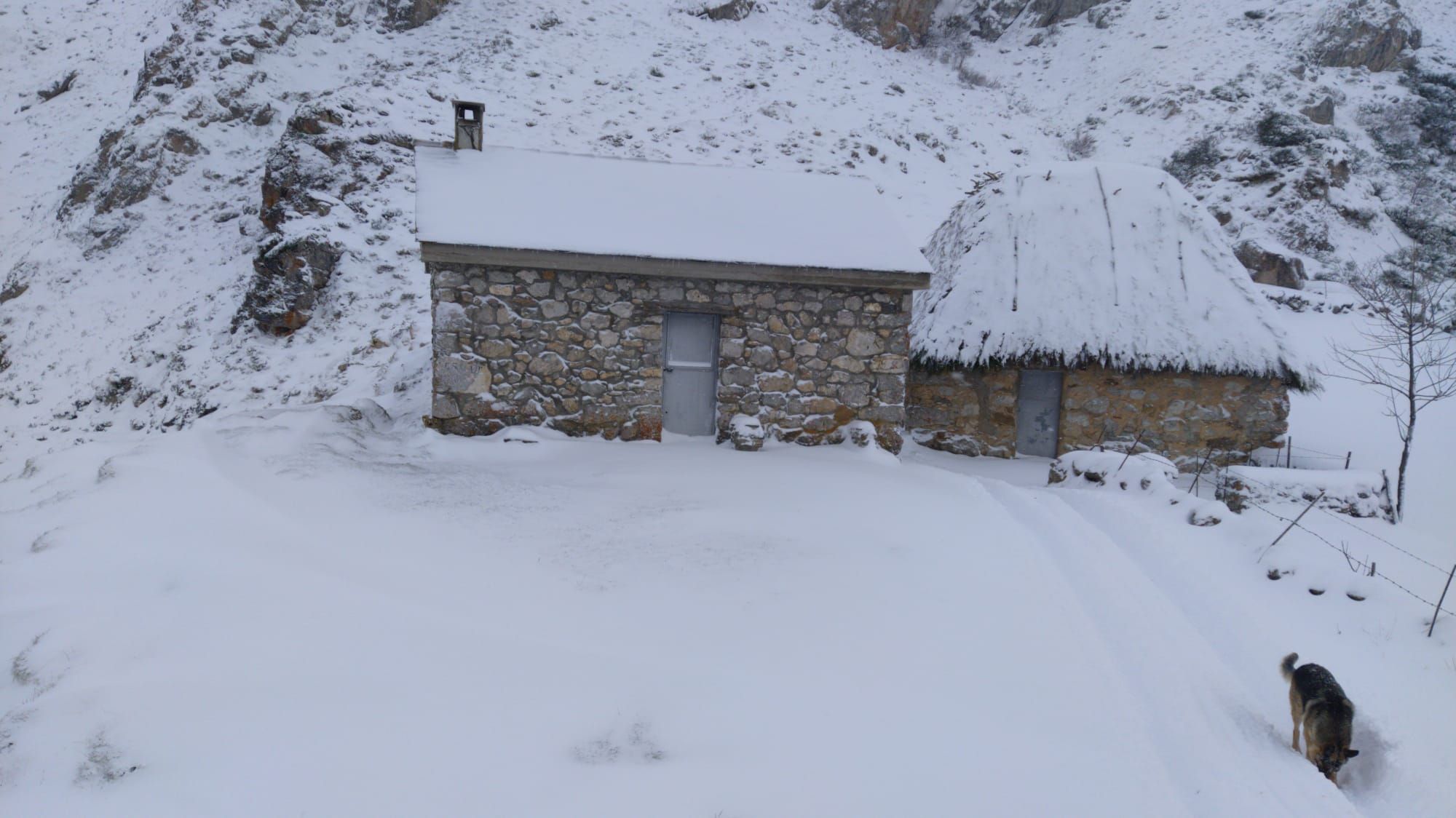 Primeras nieves en Asturias: de Covadonga a Tineo