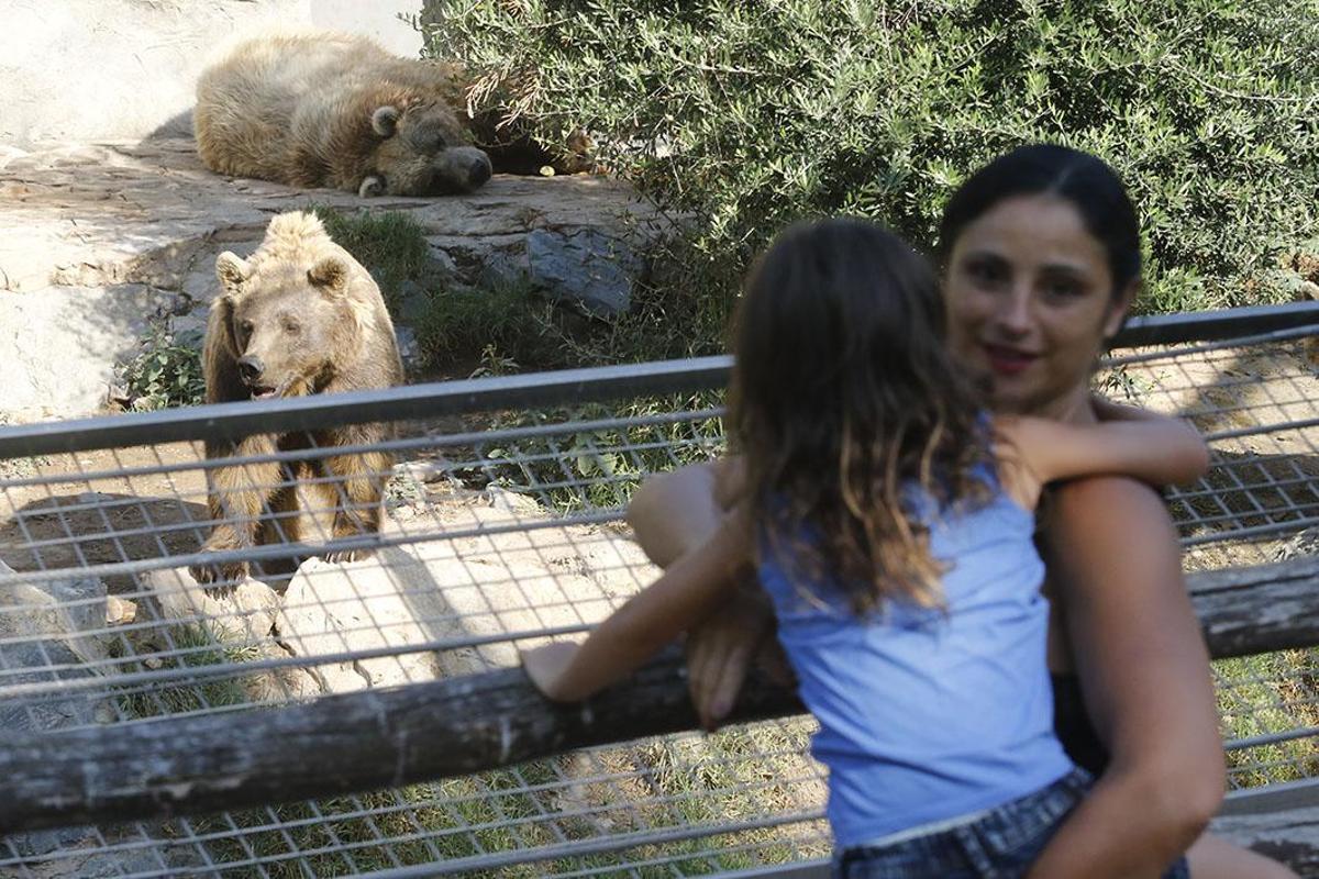 Reapertura del Zoológico tras el estado de alarma