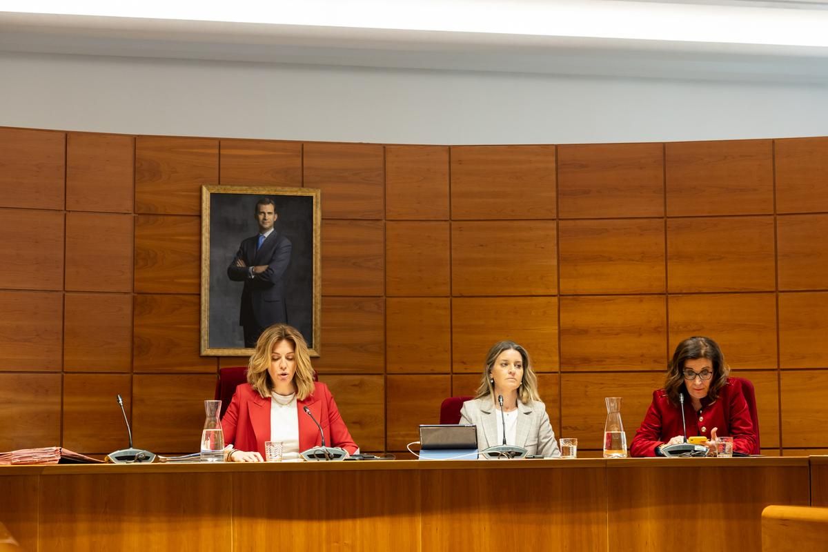 Pleno en el Ayuntamiento de Pozuelo de Alarcón