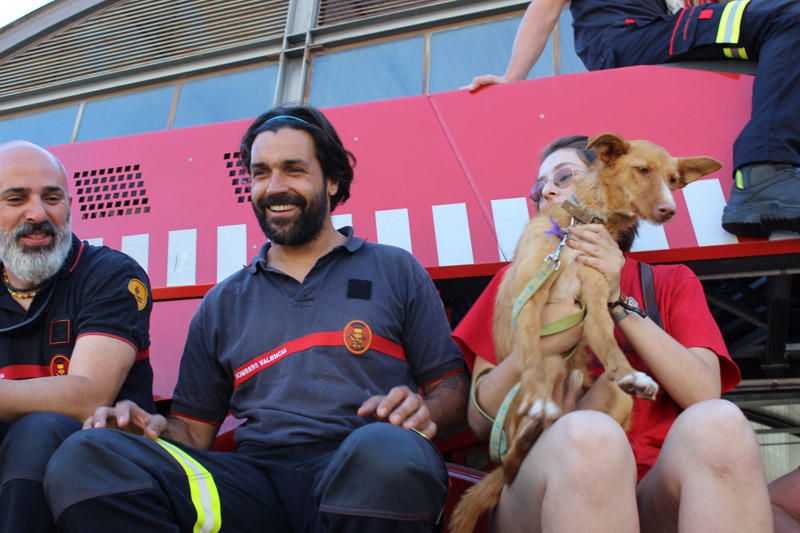 Los Bomberos de Valencia, con la adopción de mascotas