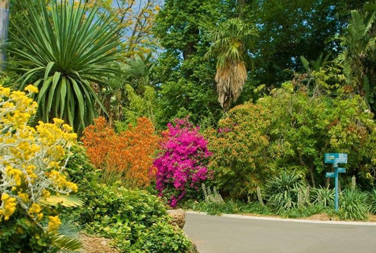 Jardín Botánico de Melbourne.
