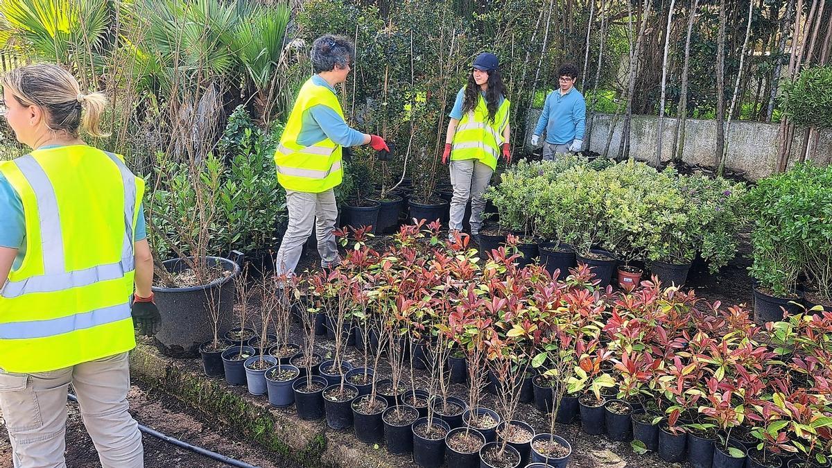 Trabajos en vivero del alumnado del proyecto ‘Monesterio I’