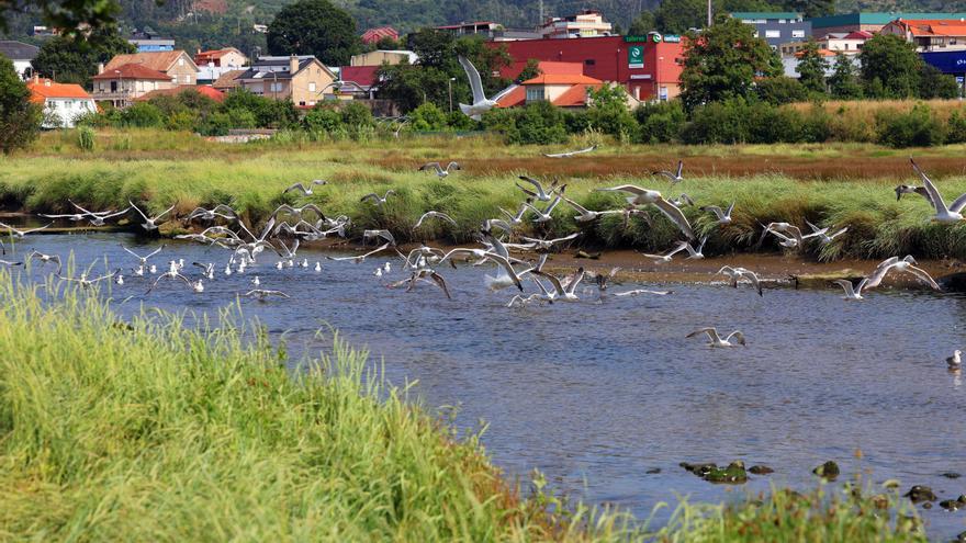 Eliminan un punto de vertido de aguas residuales al río Lagares