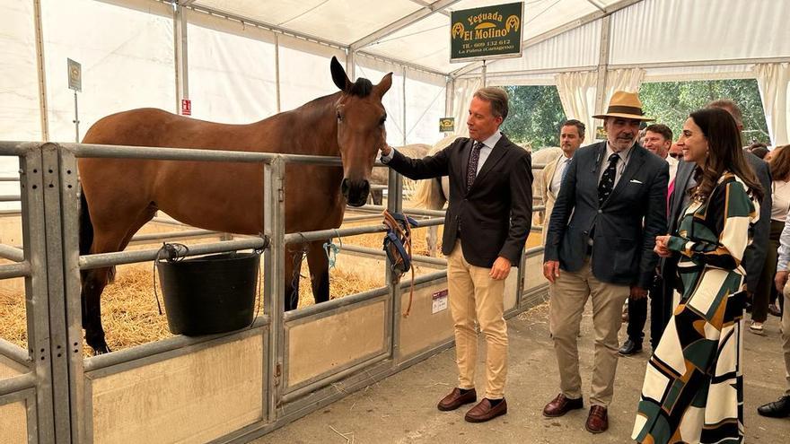 Fericab de Lorca se consolida como referente del mundo del caballo en el levante español