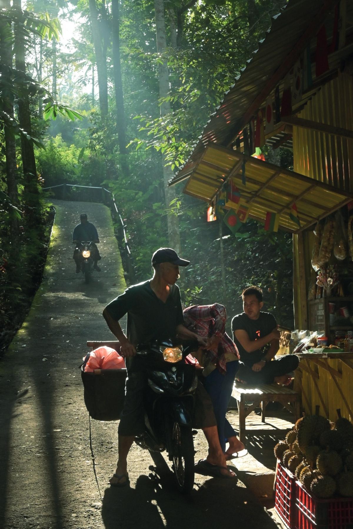 Venta de durián en el este de Java