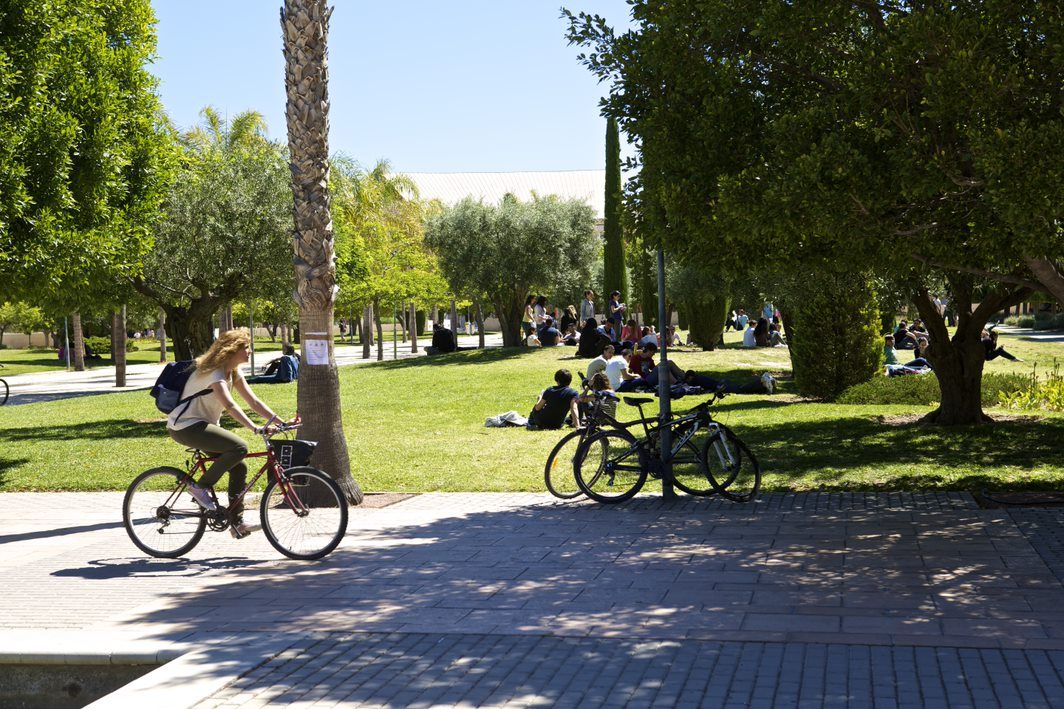 Campus de la Universidad de Alicante.