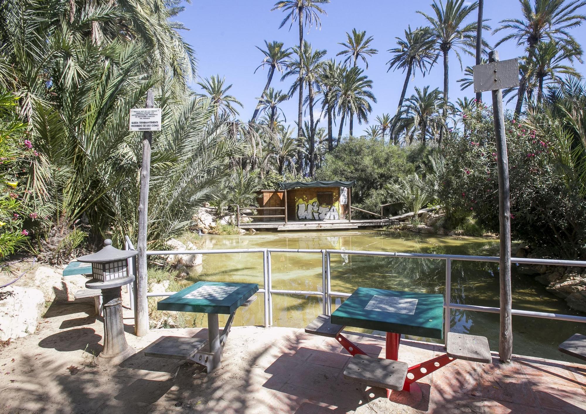 El Palmeral de Alicante, un oasis de abandono