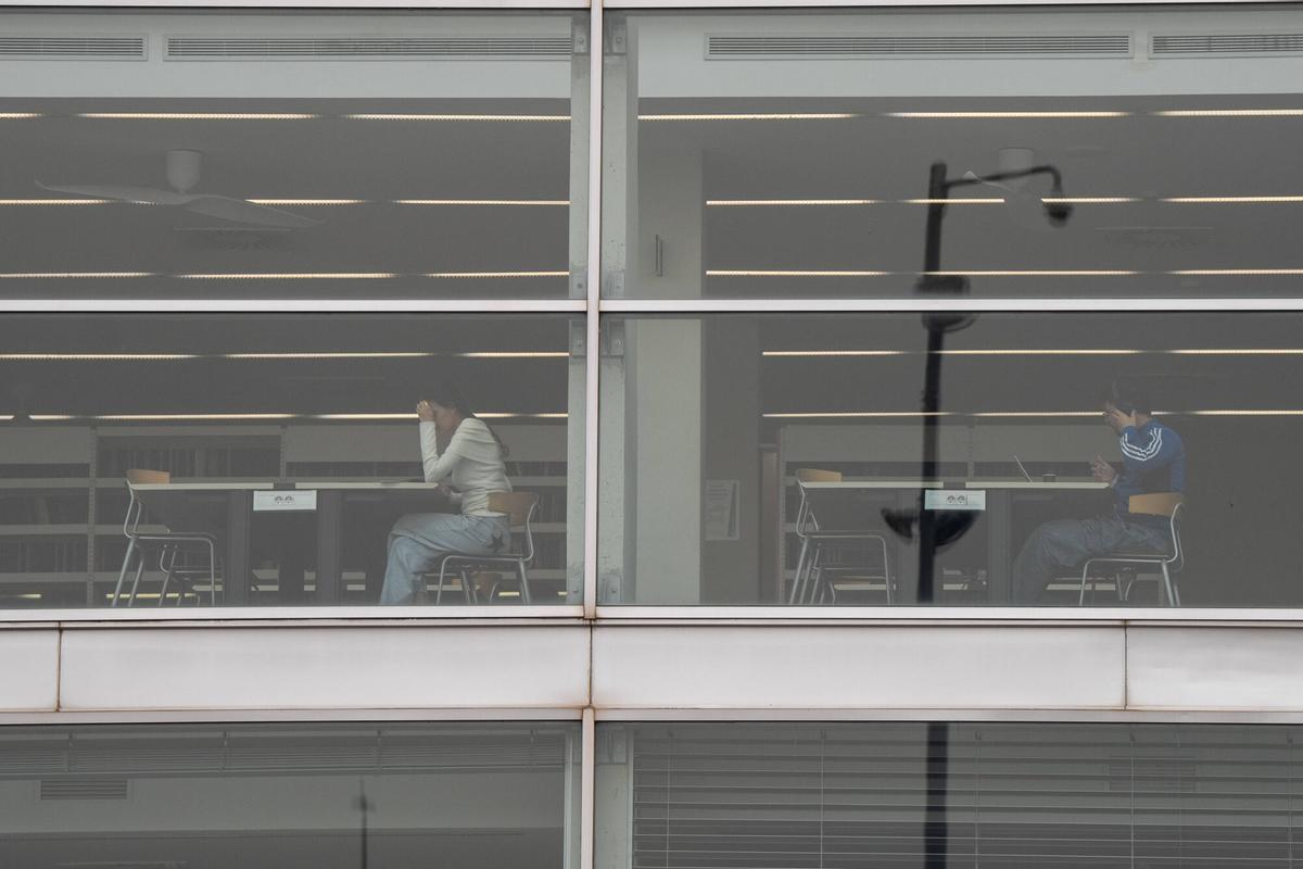 Estudiantes trabajando en el campus universitario de Bellaterra de la UAB