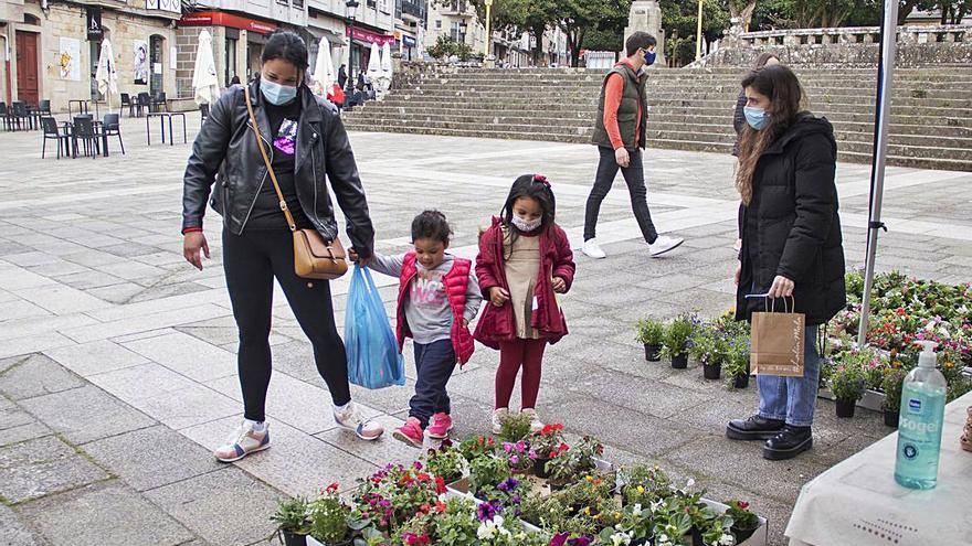 El puesto de plantas para regalar que se instaló en la Praza da Igrexa. 