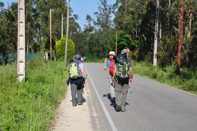 Canarios en el Camino de Santiago