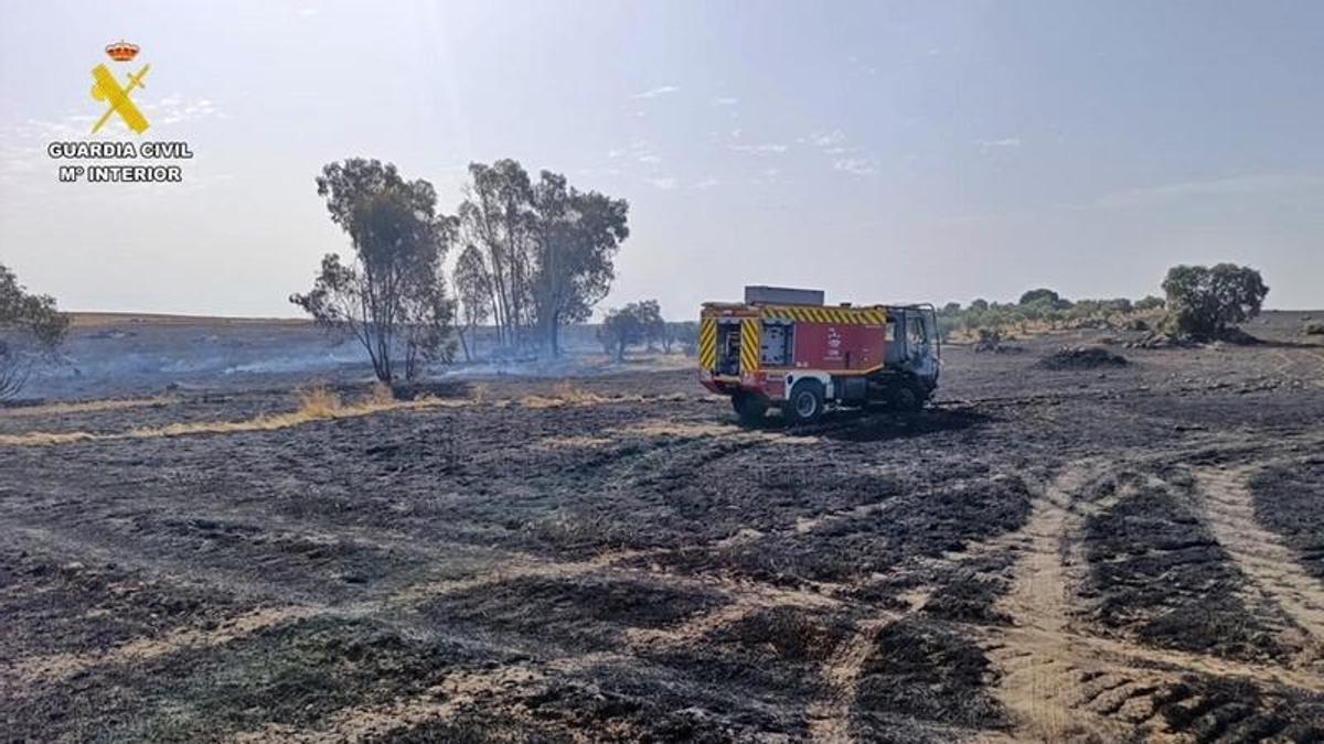 Terreno calcinado en Granja de Torrehermosa.