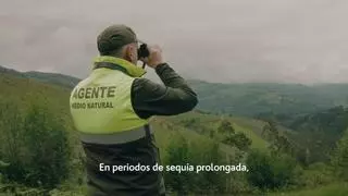 "Asturias, patria ¿querida o quemada?": El Gobierno lanza una campaña institucional que apela a la responsabilidad ciudadana para evitar los incendios forestales