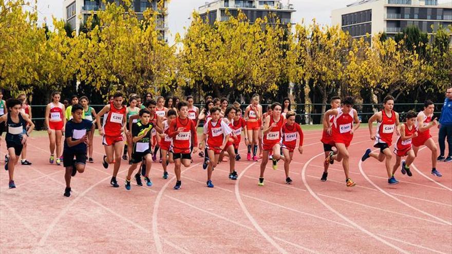 Colegio Diputación i Playas obren un nou any d’èxits DE RÈCORD