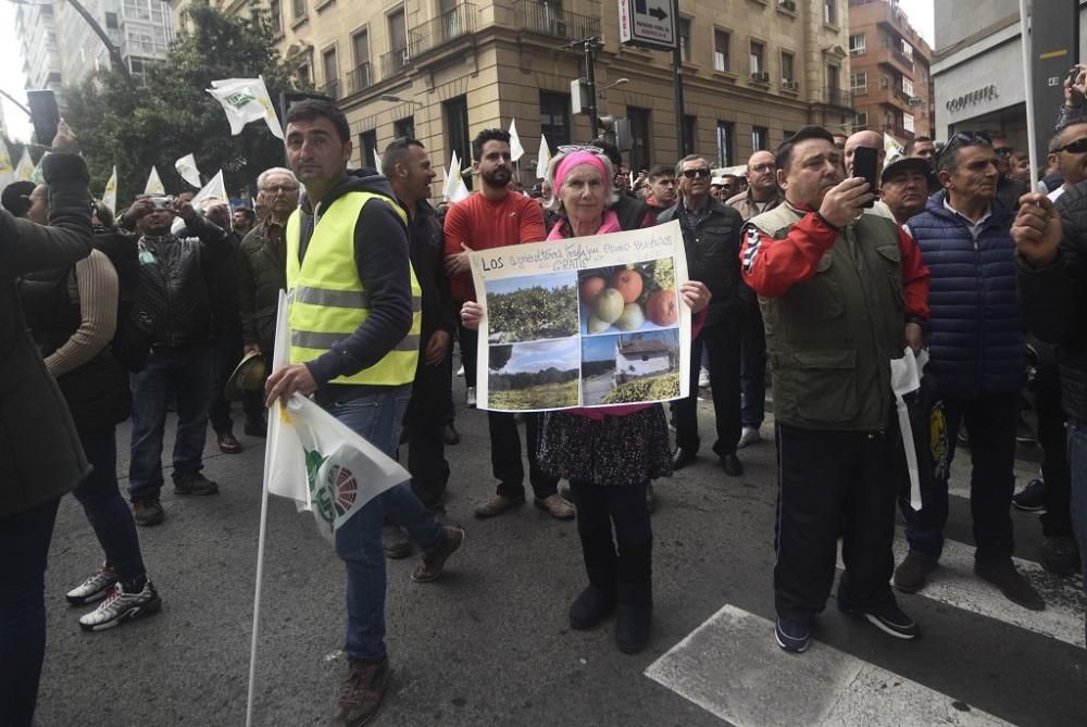 Así ha sido la manifestación de los agricultores en Murcia (II)