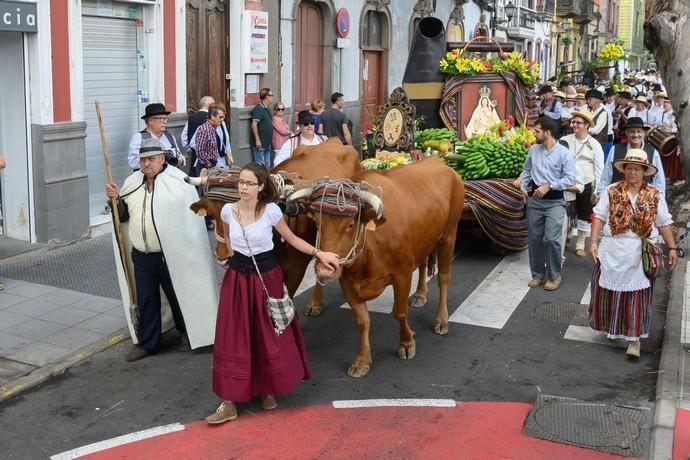 Romería del Rosario.Vegueta  | 29/09/2019 | Fotógrafo: Tony Hernández