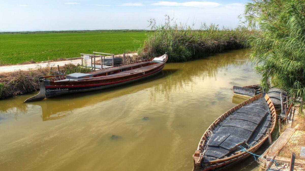 Cuando la Albufera de Valencia estuvo a punto de ser urbanizada