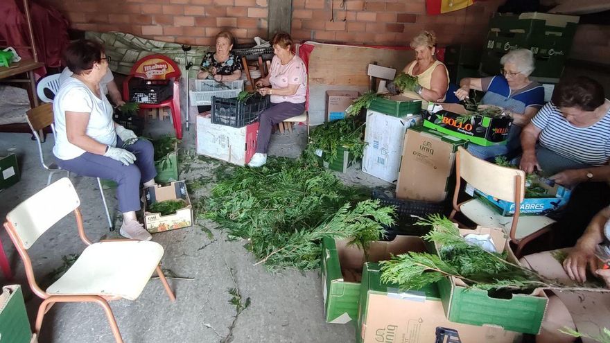 Ayer, en la Casa da Fábrica, empezando a separar la tuya. | Santos Álvarez