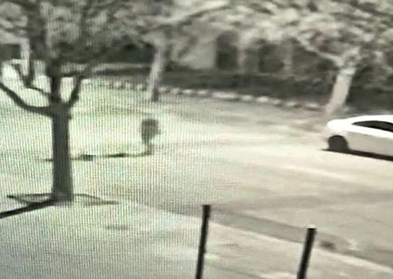 Imágenes grabadas por una cámara de seguridad que muestran cómo la conductora embiste al joven, que cae al suelo tras agarrarse al capó y cómo ella regresa después.