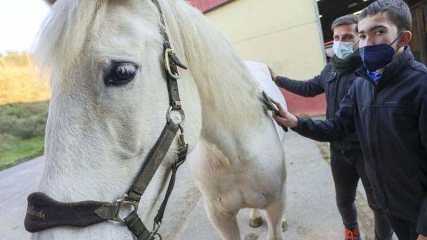 Equinoterapia: cuando los caballos ayudan a las personas con discapacidad