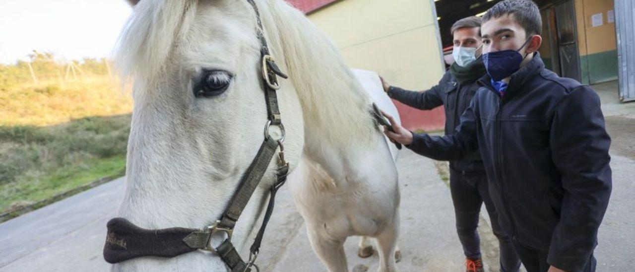 Así son las terapias con caballos que ofrece la asociación Equitación Positiva en Oviedo. / ELENA G. DÍEZ
