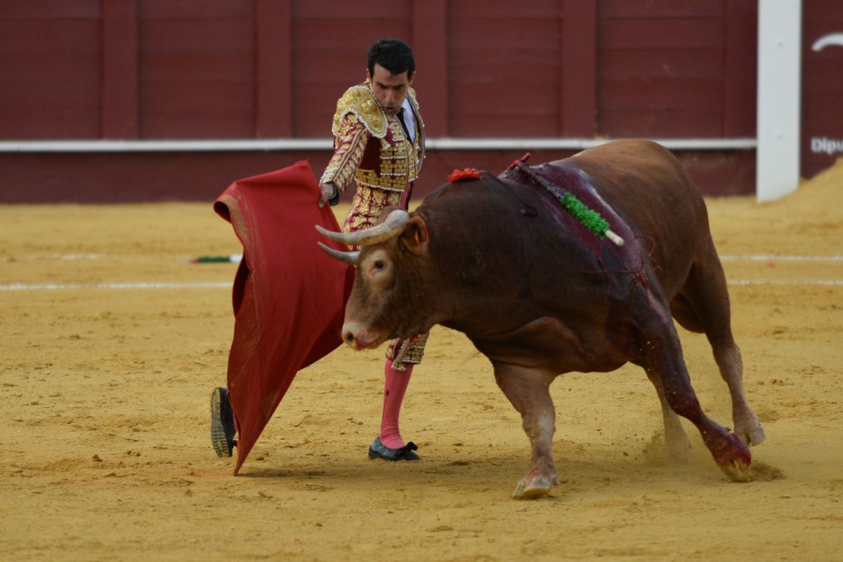 Las imágenes de la novillada en La Malagueta de la Feria taurina de Málaga de 2021.