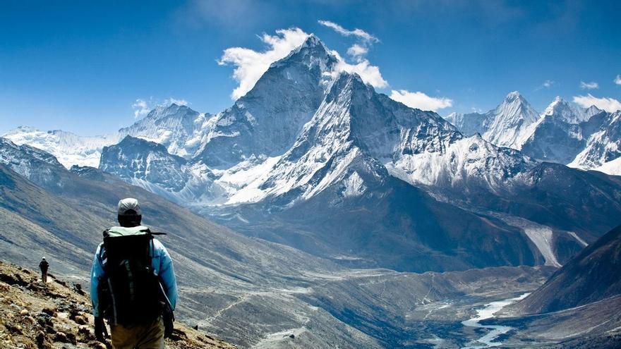 Malas noticias: la vegetación ‘escala’ más de 2 metros al año las montañas del Himalaya, al retroceder nieve