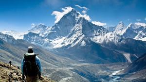 La vegetación está subiendo montañas arriba en el Himalaya
