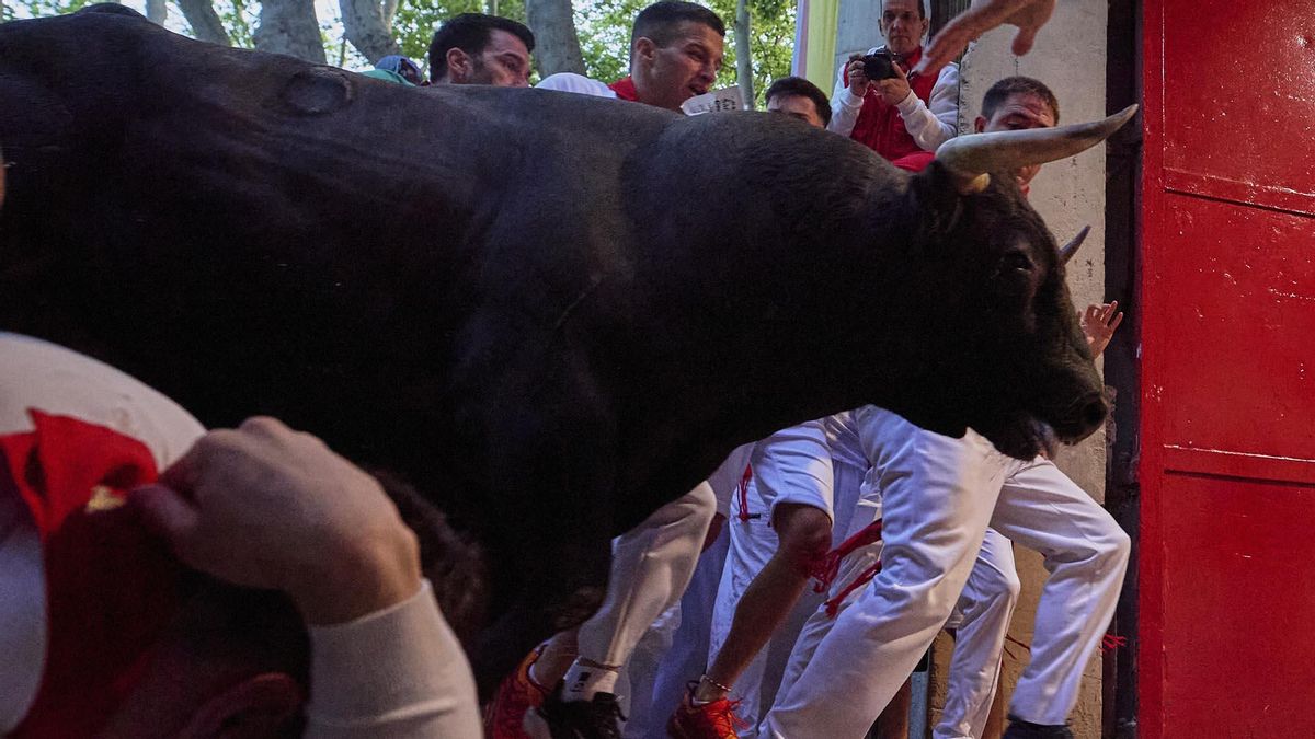 Quinto encierro de San Fermín con toros de Jandilla