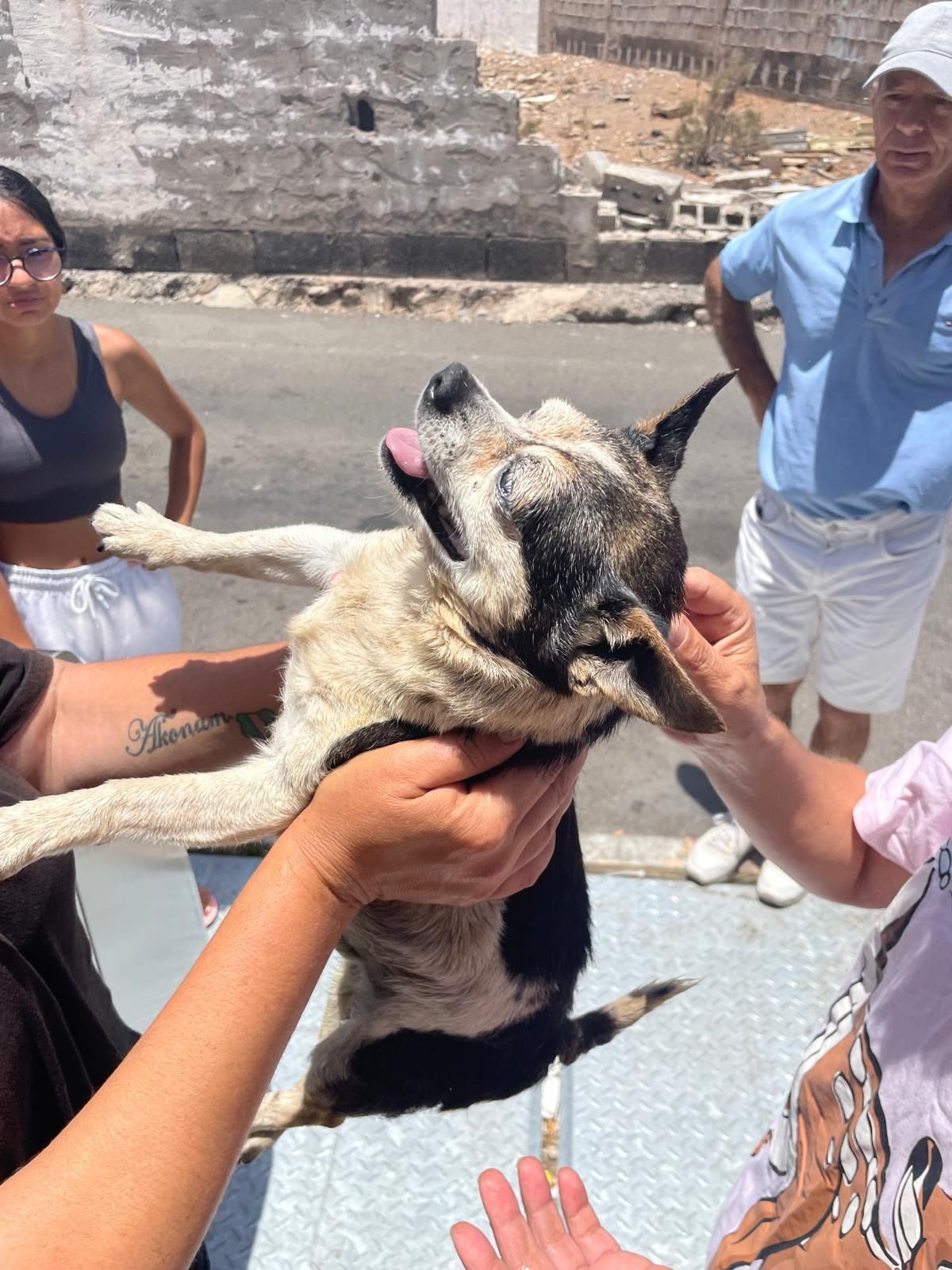 Patuco, recién sacado de la basura.