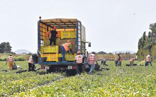 El campo español mira a Europa