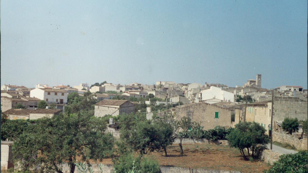 Vista genral de Ariany