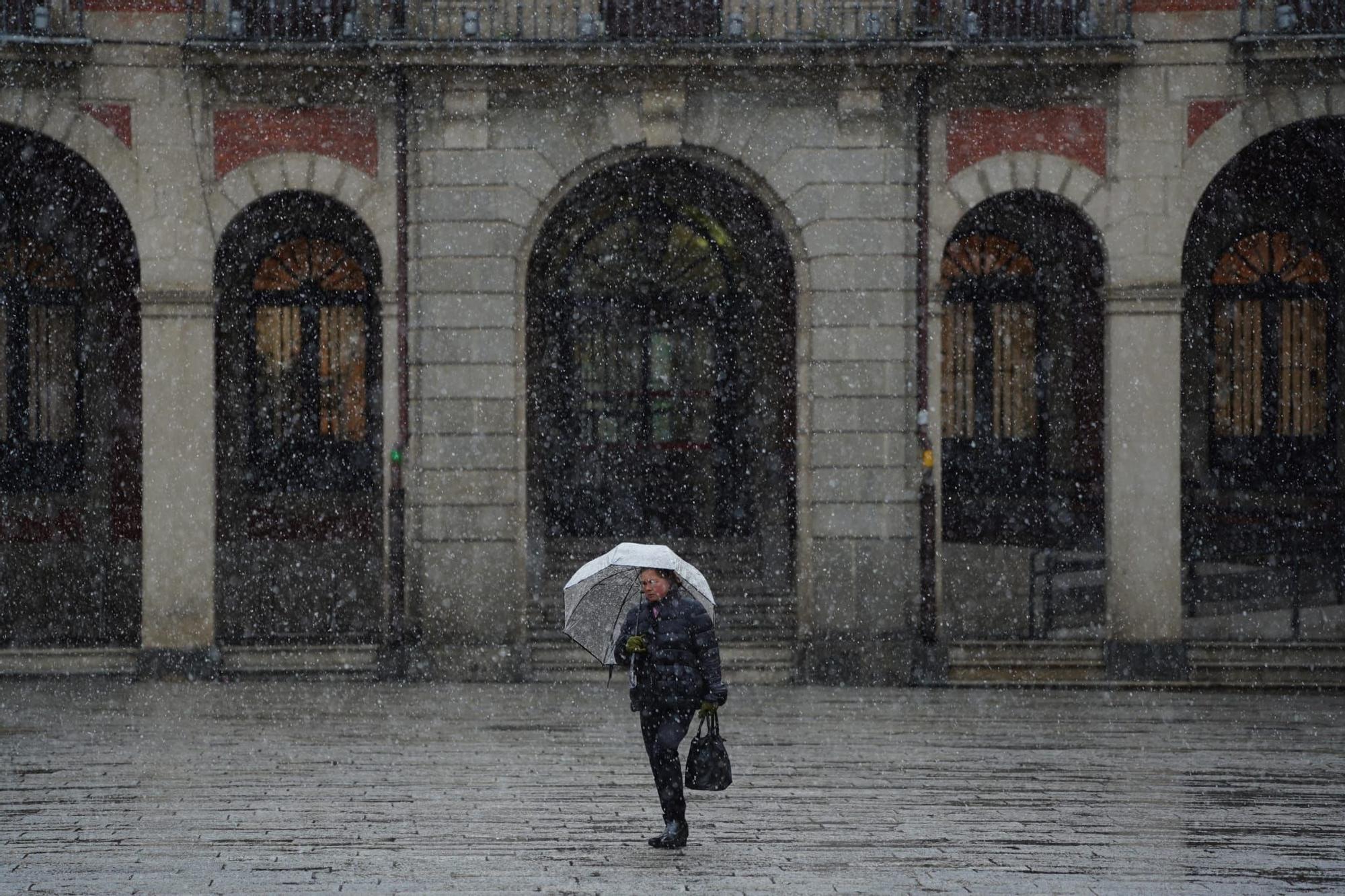 GALERÍA | Las mejores imágenes de la nieve en Zamora capital