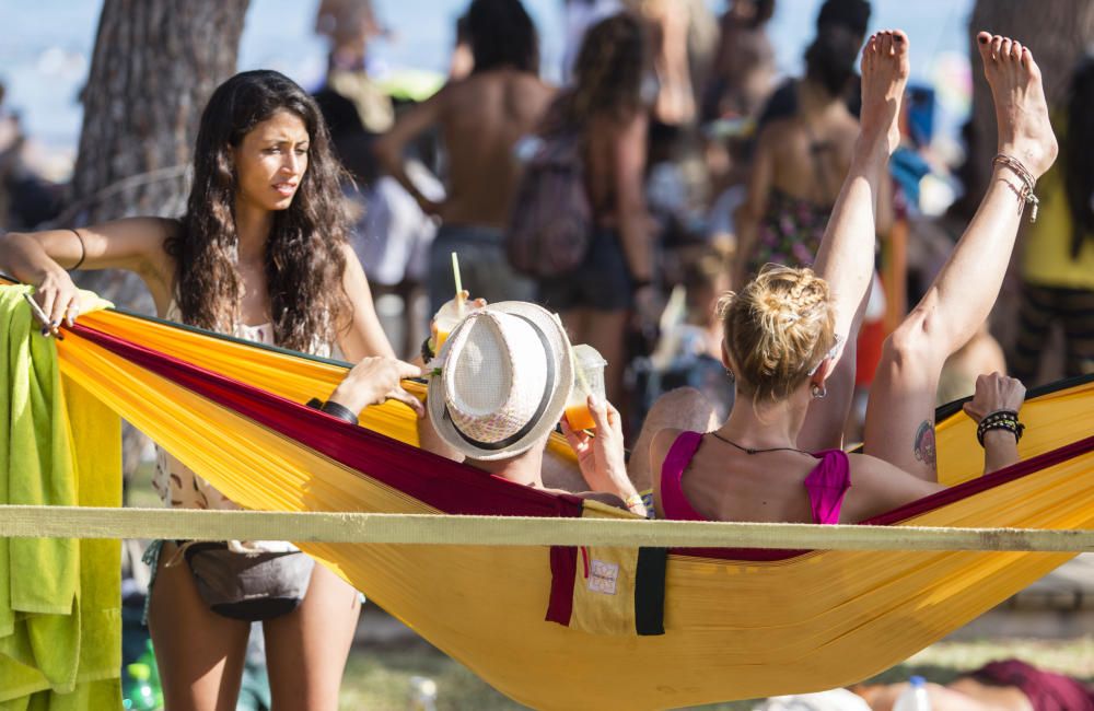 Ambiente de Rototom