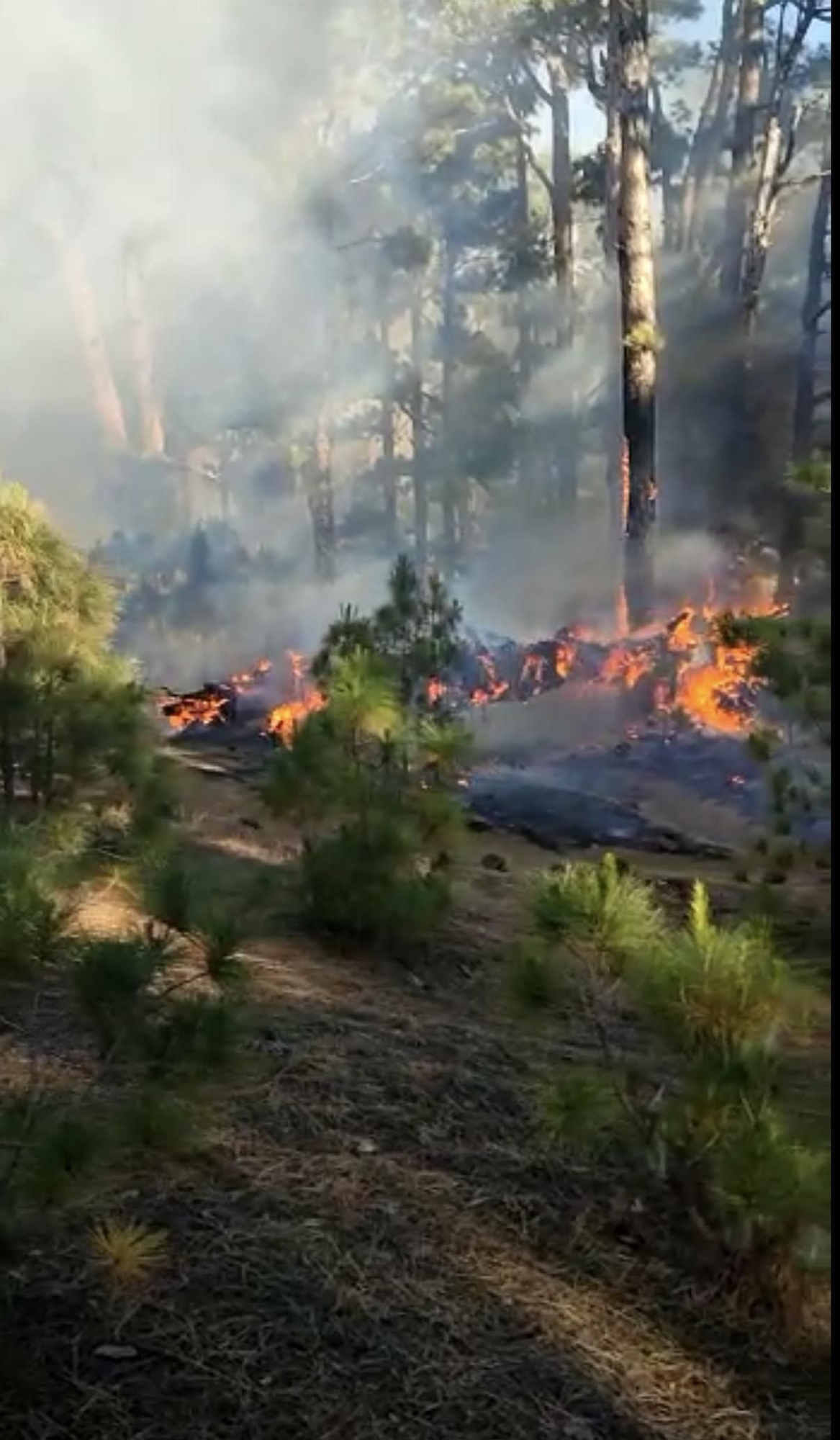 Incendio en El Hierro