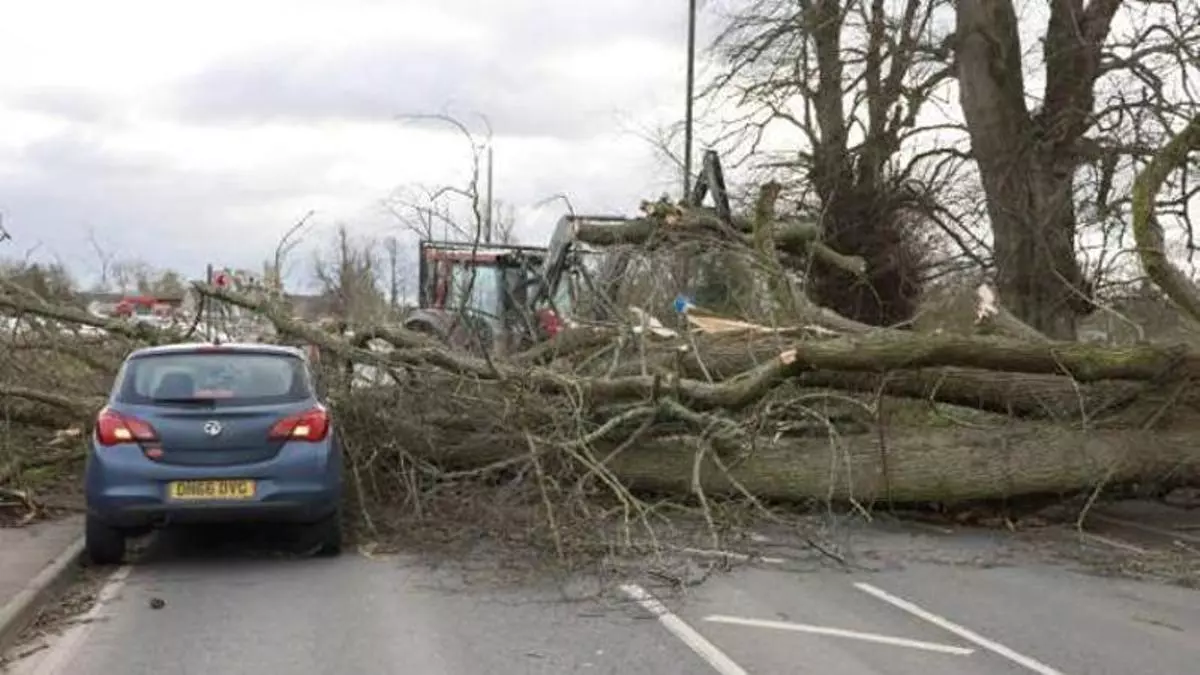 Cómo reclamar al seguro por los daños del temporal en tu coche