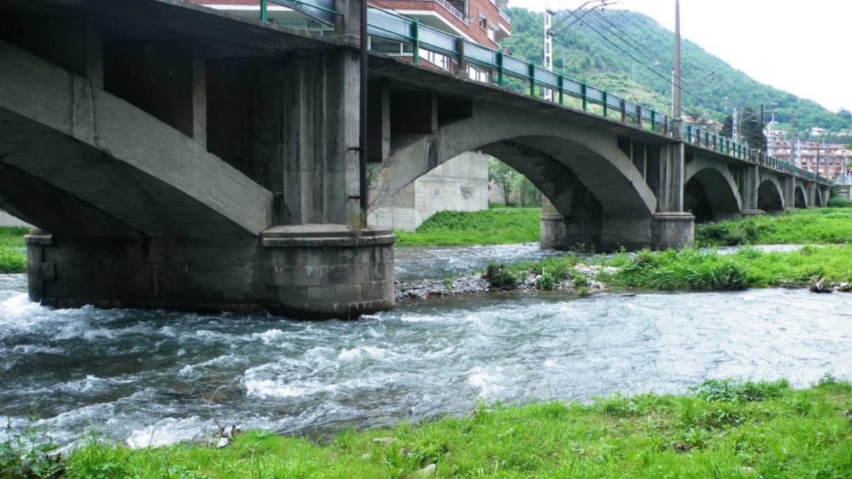 Pla general del pont del tren de Ripoll. (Horitzontal)