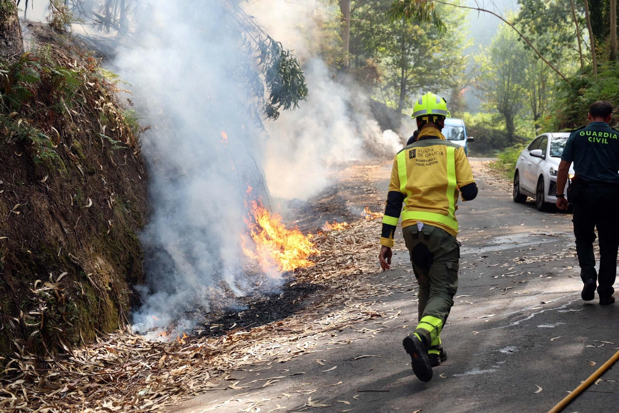 Espectacular incendio forestal en Meaño