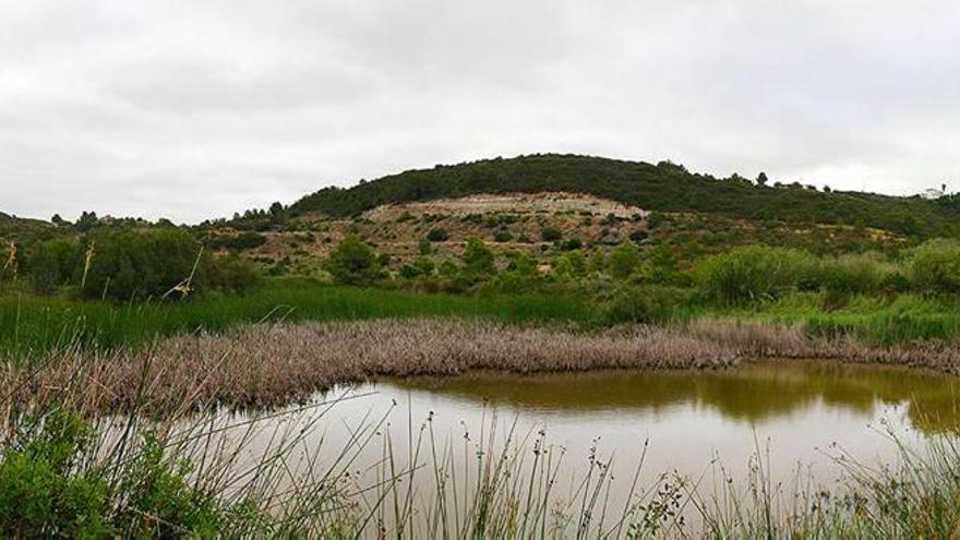 Laguna en la que se han realizado los trabajos y detectado los ejemplares de tortuga.