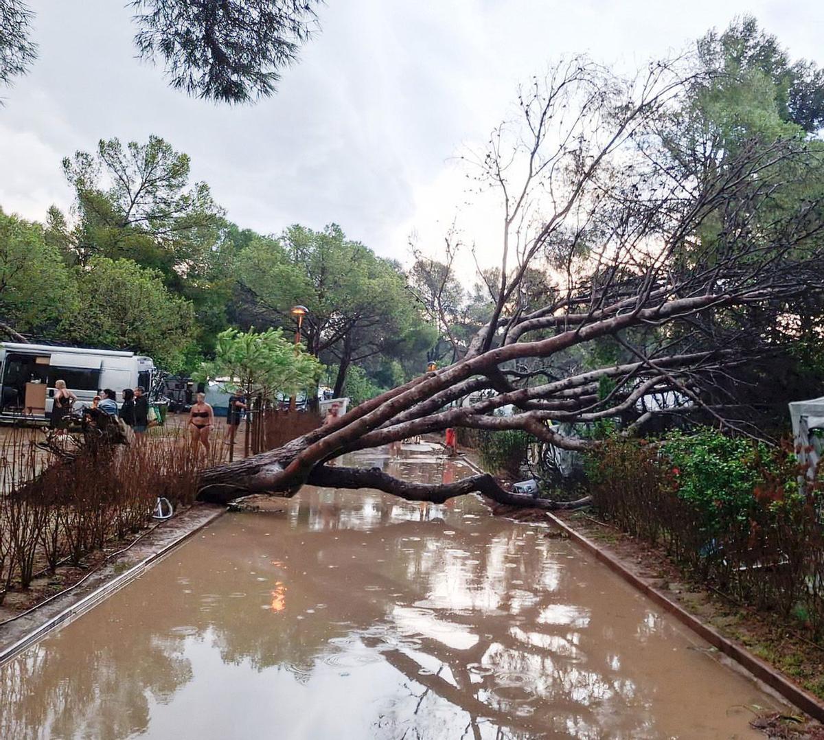 Una intensa tempesta amb pedra castiga el Camp de Tarragona
