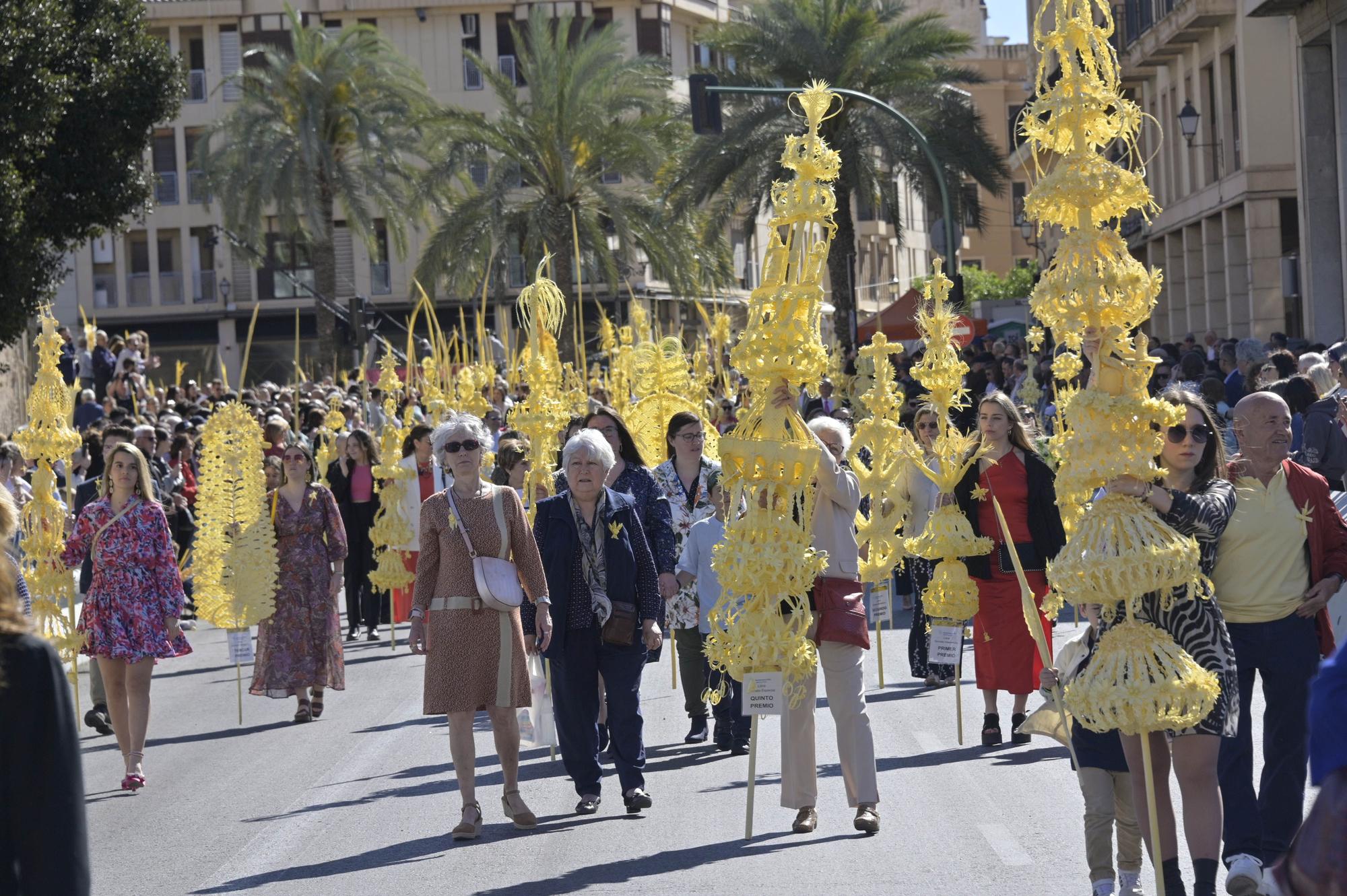 Domingo de Ramos en Elche